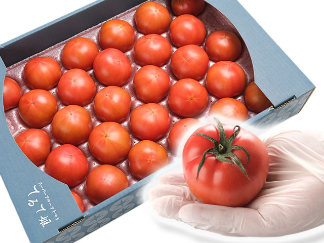 ちょうどいい贅沢。約800g（8～13玉）箱