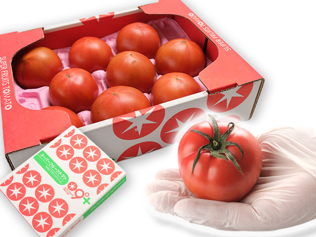 ちょうどいい贅沢。約800g（8～13玉）箱