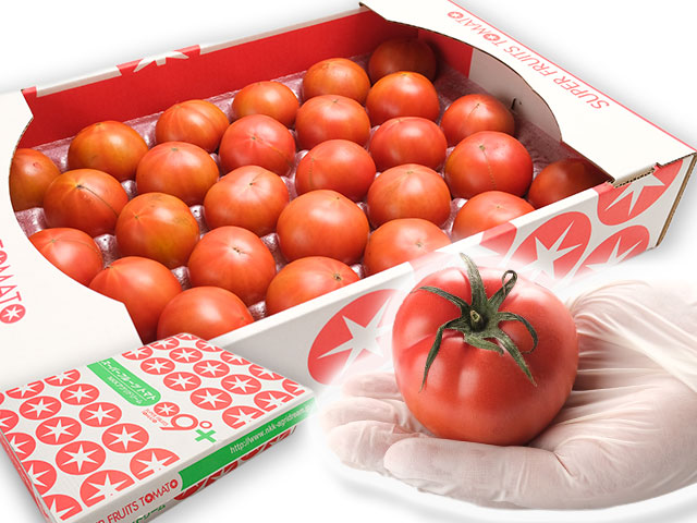 ちょうどいい贅沢。約800g（8～13玉）箱