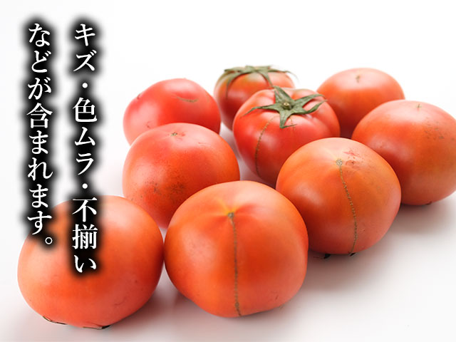 20の研究が導いた、極限の「旨味の密度」