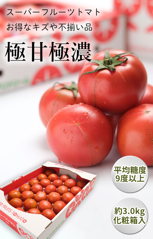 野菜ソムリエサミット2年連続受賞。スーパーフルーツトマト「てるて姫」の通販（お取り寄せ）