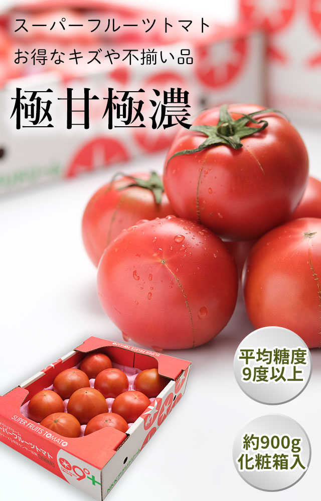 野菜ソムリエサミット2年連続受賞。スーパーフルーツトマト「てるて姫」の通販（お取り寄せ）