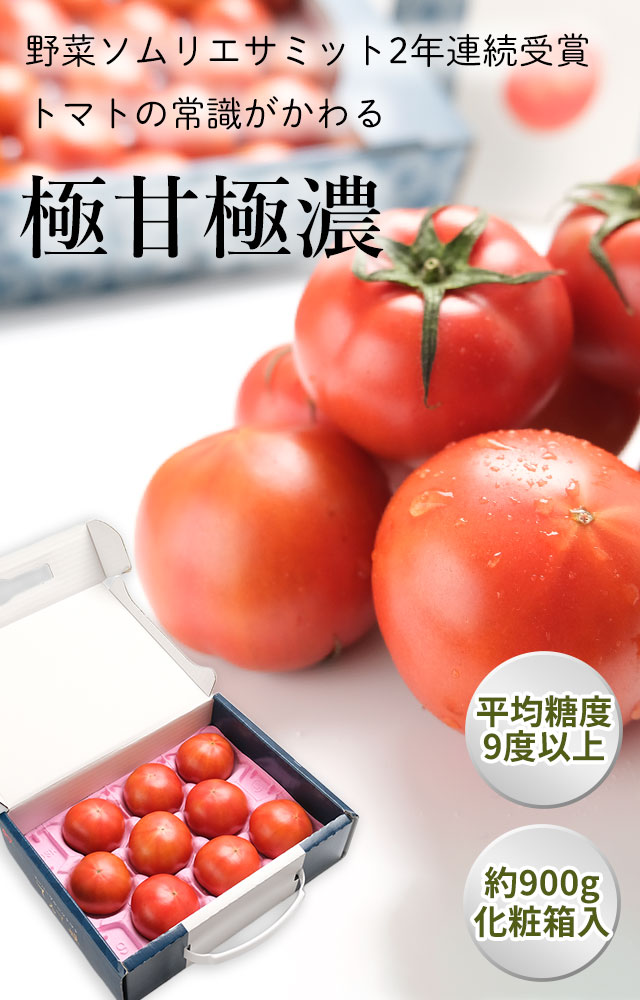 野菜ソムリエサミット2年連続受賞。スーパーフルーツトマト「てるて姫」の通販（お取り寄せ）