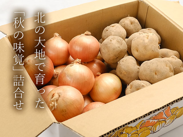  市場直送だからお得！秋の食卓応援セット