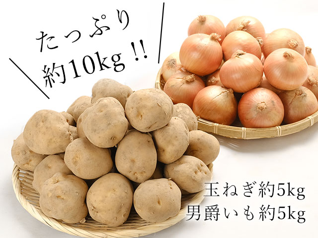 北海道産男爵いも約5kgと玉ねぎLサイズ約5kg 合計約10kg