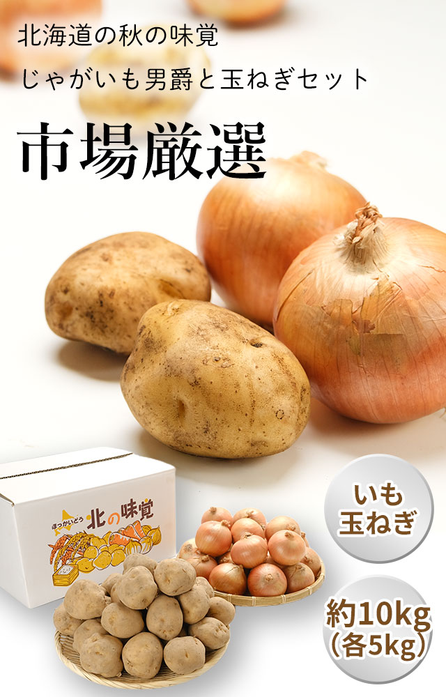北海道産秋野菜セット（男爵いも・玉ねぎ）各5kgの通販（お取り寄せ）