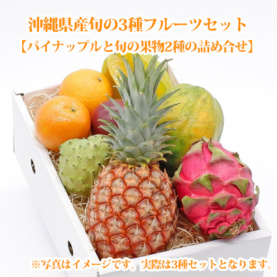 3種のフルーツセット(パインと2種)
