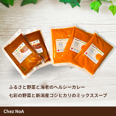 七彩スープ・カレーセット（5パック）