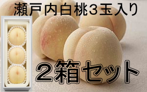 2箱ｾｯﾄ】瀬戸内白桃【特選】3玉入 | 幸運白桃農園 岡山真果園