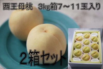【2箱ｾｯﾄ】西王母桃　３kg箱　7-11玉入