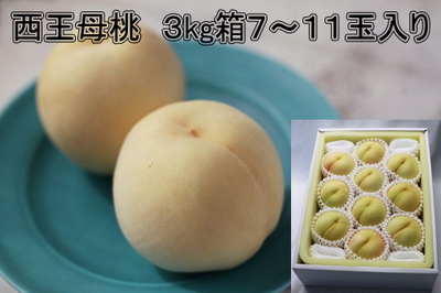 西王母桃　３kg箱　7-11玉入