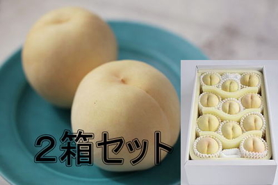 【2箱ｾｯﾄ】西王母桃　４kg箱　8-15玉入