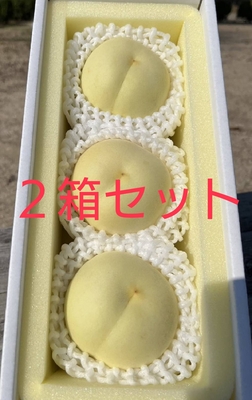 【2箱ｾｯﾄ】冬桃　３玉入