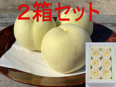 【2箱ｾｯﾄ】冬桃　4-6玉入　900ｇ