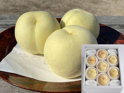 冬桃　1.3kg　小玉7-10玉入