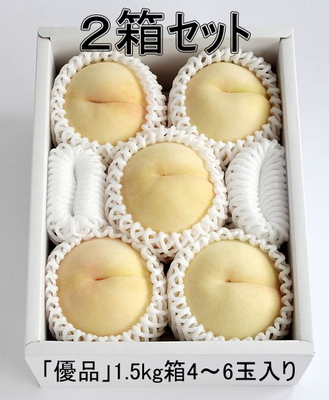 【2箱ｾｯﾄ】<白鳳>「優品」4-6玉入 1.5kg箱
