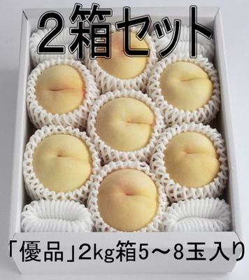 【2箱ｾｯﾄ】<白鳳>「優品」5-8玉入 ２kg箱