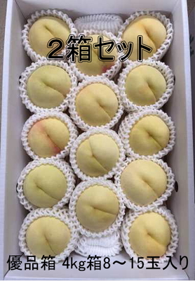 【2箱ｾｯﾄ】<白鳳>「優品」8-15玉入４kg箱