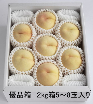 黄金桃【優品】5-8玉入 ２kg箱