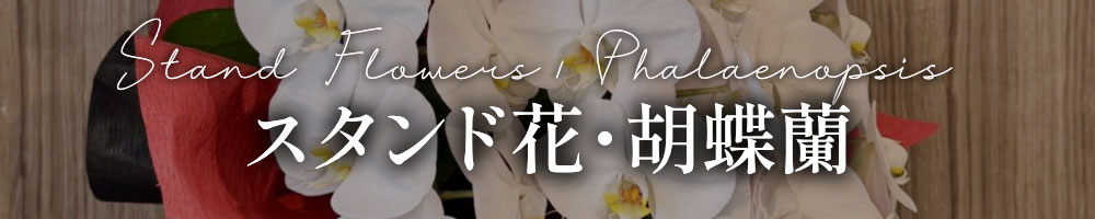 スタンド花・胡蝶蘭（スマホ用）