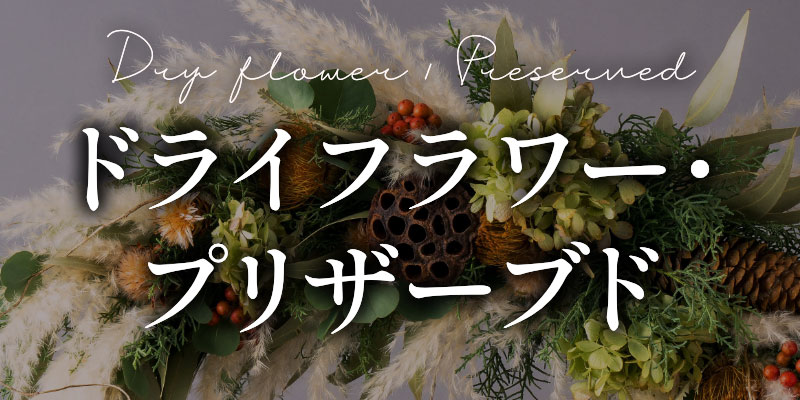 ドライフラワー・プリザーブド
