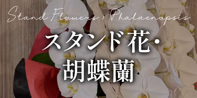 スタンド花・胡蝶蘭