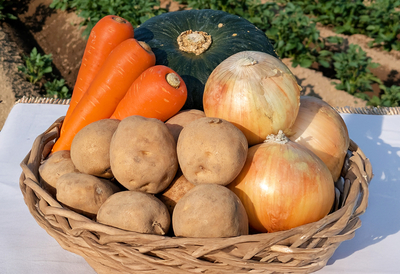 野菜セット 約4.5kg（じゃがいも・にんじん・玉ねぎ・かぼちゃの詰め合わせ）【9月下旬発送開始予定】