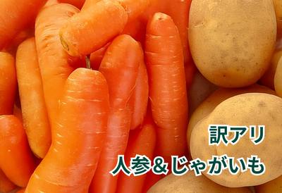 ※訳アリ※2種セット 約9kg（人参・じゃがいも）【9月中旬発送開始予定】