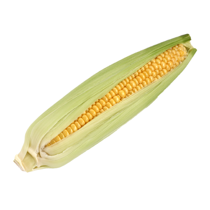 とうもろこし