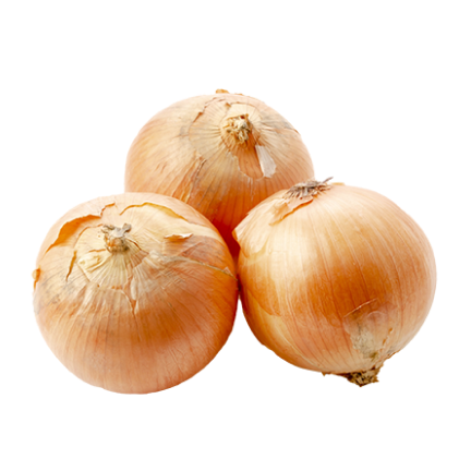 たまねぎ(オホーツク222) | 北海道・ニセコ樺山エリアの農園「リスト