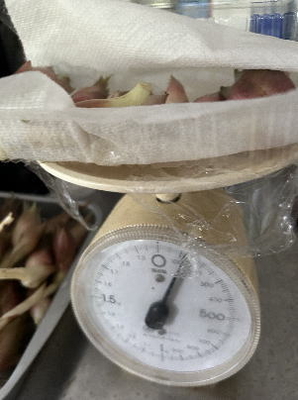 ミョウガ100g