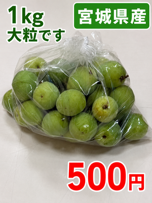 宮城県産梅1㎏