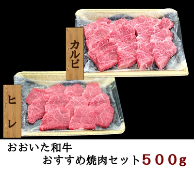 おおいた和牛　おすすめ焼肉セット（ヒレ・カルビ）