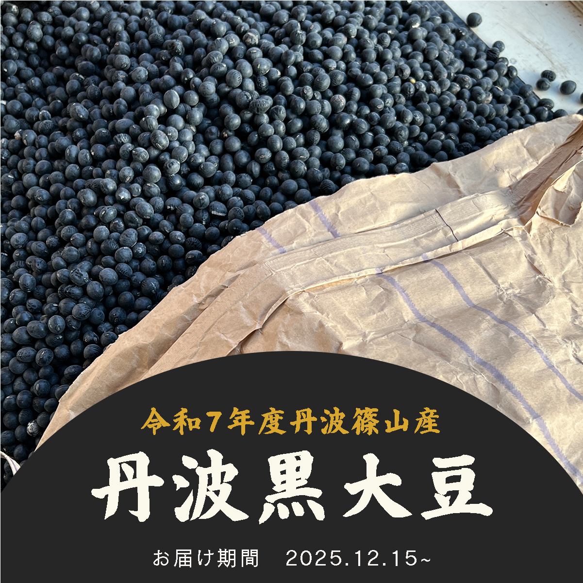 新豆【丹波篠山産】丹波黒大豆｜丹波ふるさと村オンラインショップ