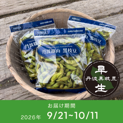 【丹波篠山産】丹波黒枝豆 中早生 500g&times;3袋/5袋