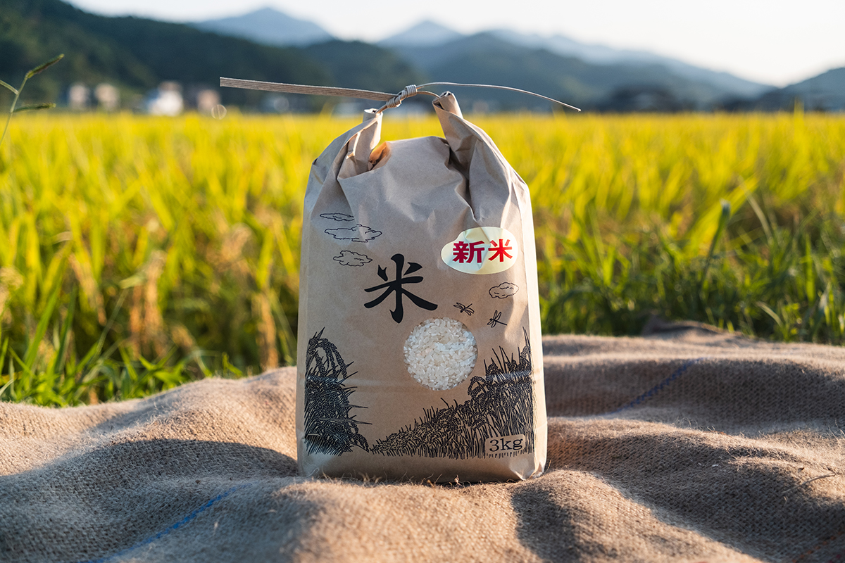 令和7年度産】丹波コシヒカリ・白米｜丹波ふるさと村オンライン