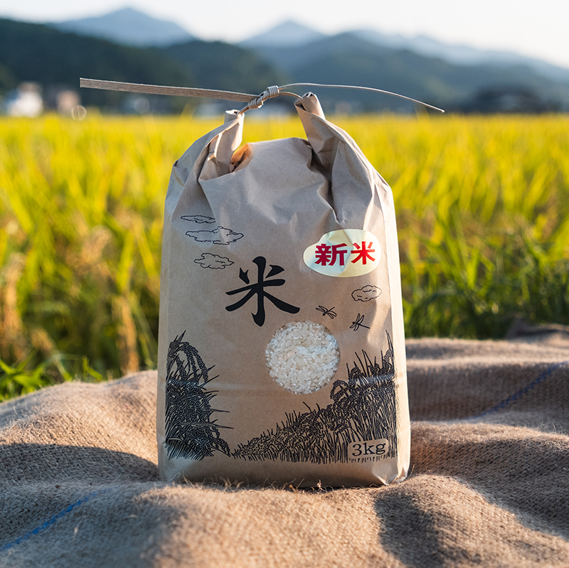 【令和7年度産】丹波コシヒカリ・白米