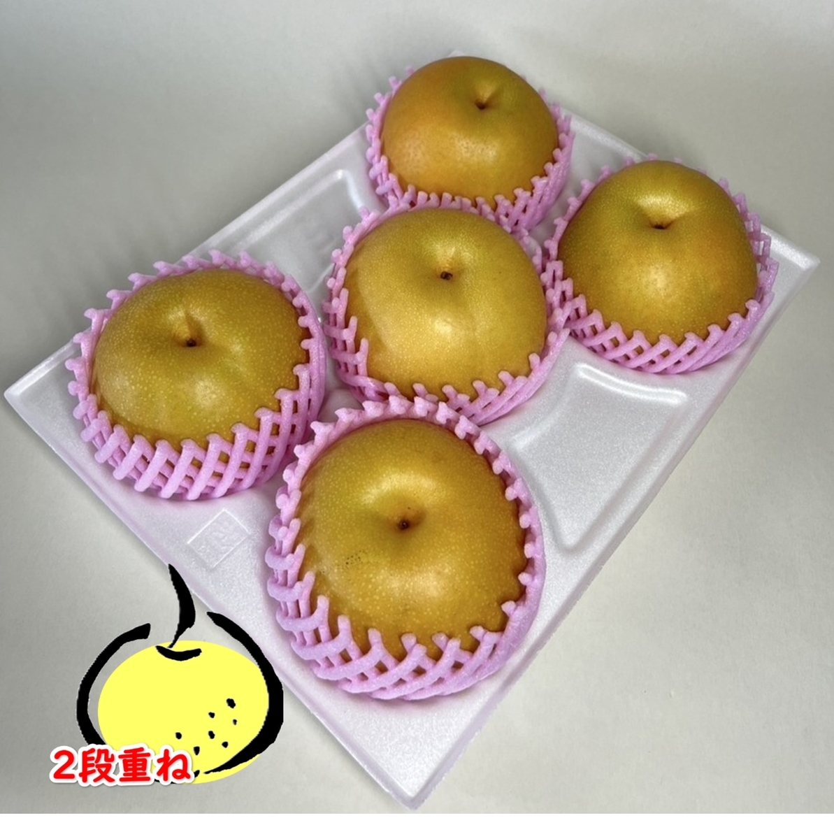 ○豊水梨 80ｻｲｽﾞ L4~6玉 2段重ね | 徳山果樹園