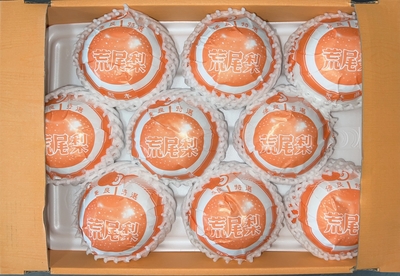 ○新高梨 100ｻｲｽﾞ7～9玉 | 徳山果樹園