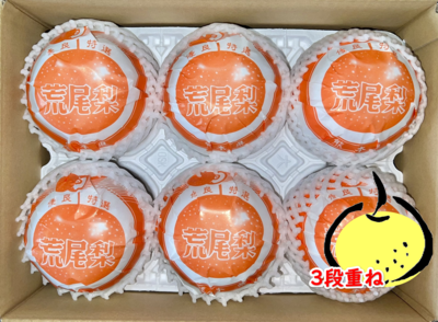 鳳梨 ○新高梨 80ｻｲｽﾞ4～6玉3段重ね | 徳山果樹園