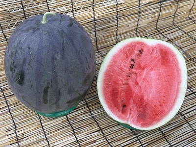 【岡山県赤磐市産】無農薬・有機栽培の黒大玉スイカ「タヒチ」１玉（約６Ｋｇ）／保冷便専用