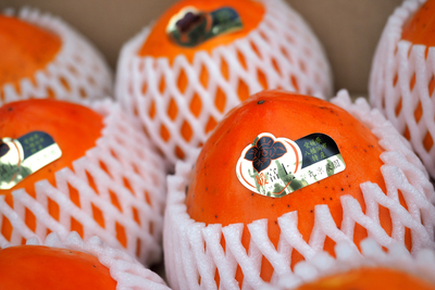 贈り媛富士B(贈答用中玉400ｇ前後13玉)