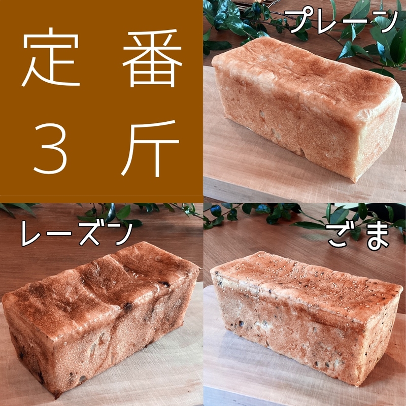 定番３斤セット／食パン／プレーン＋レーズン＋ごま