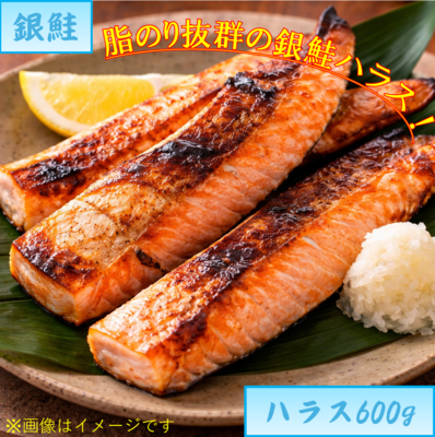 銀鮭・銀鮭ハラス600g　２６番