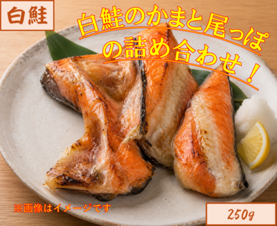 白鮭・白鮭切落し250g　２６番