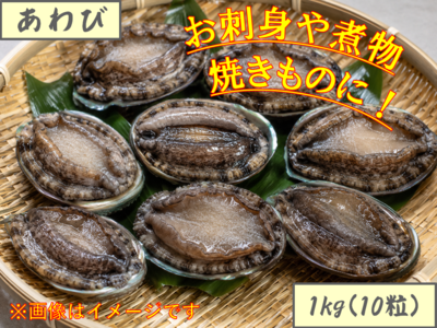 蝦夷あわび1kg