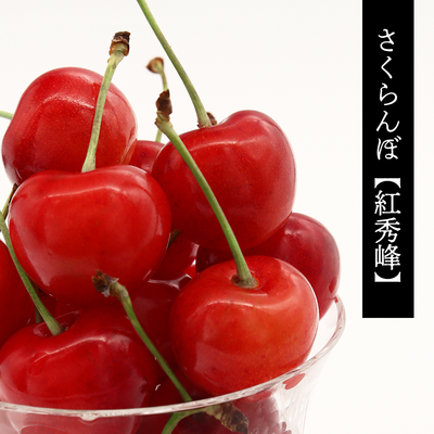 （予約注文）さくらんぼ【紅秀峰】