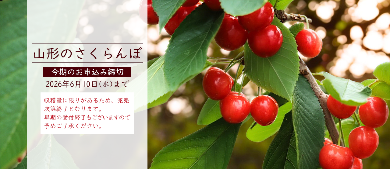2026年さくらんぼ受注スタート