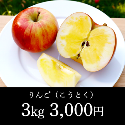 りんご（こうとく）- 3kg（8～10玉）