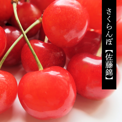 （予約注文）さくらんぼ【佐藤錦】